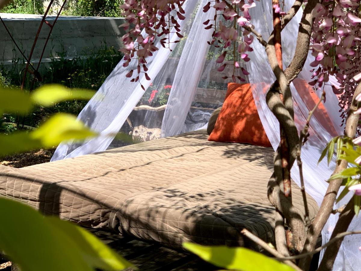 فيلا Casa Botanica بلاغاي المظهر الخارجي الصورة