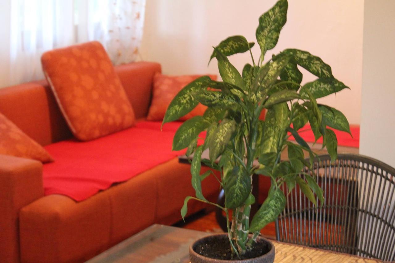 فيلا Casa Botanica بلاغاي المظهر الخارجي الصورة