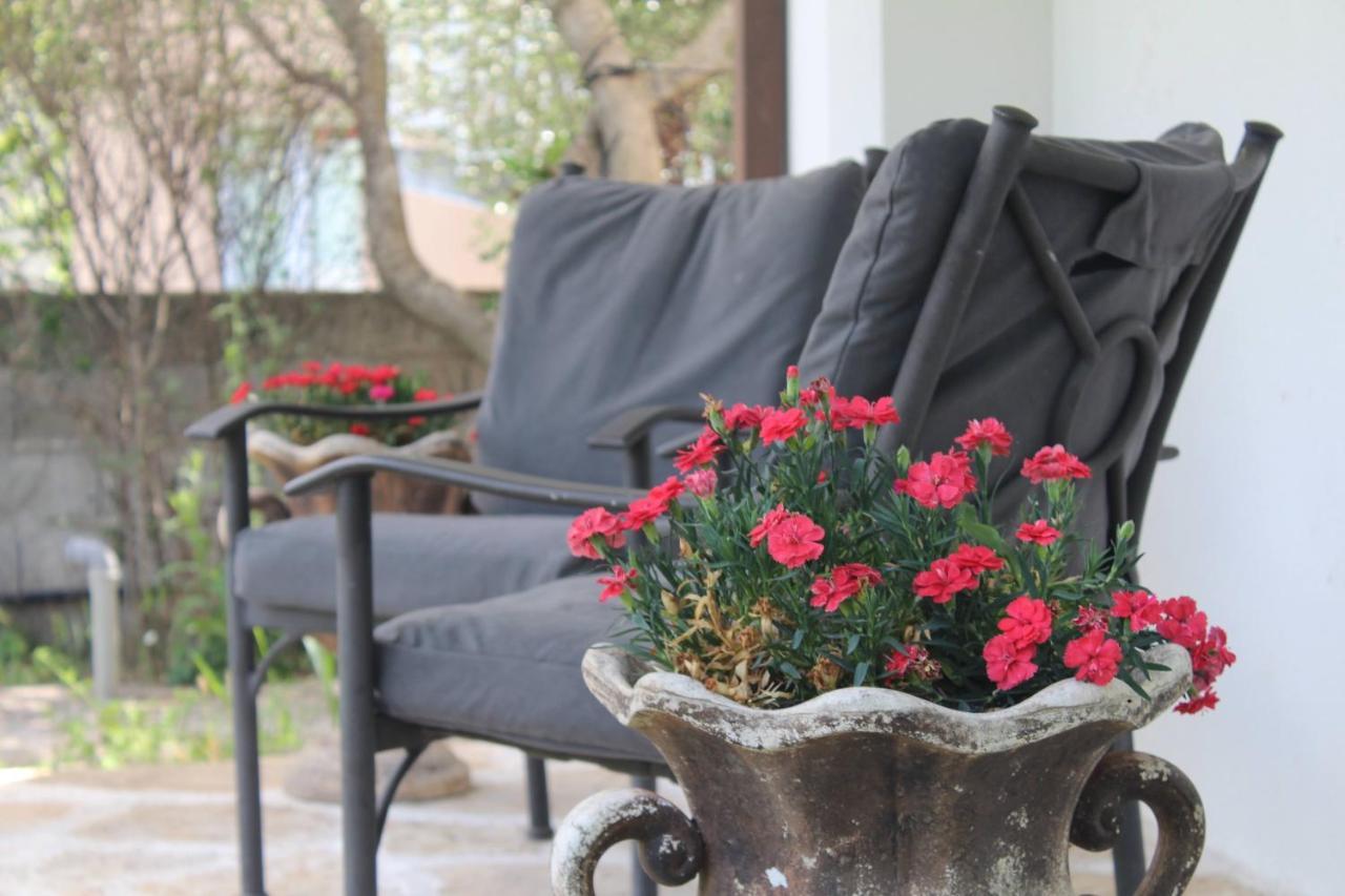 فيلا Casa Botanica بلاغاي المظهر الخارجي الصورة