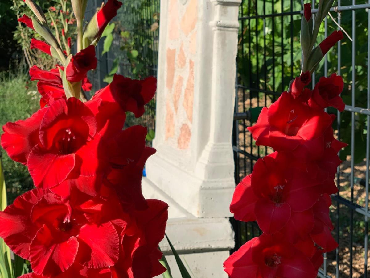 فيلا Casa Botanica بلاغاي المظهر الخارجي الصورة
